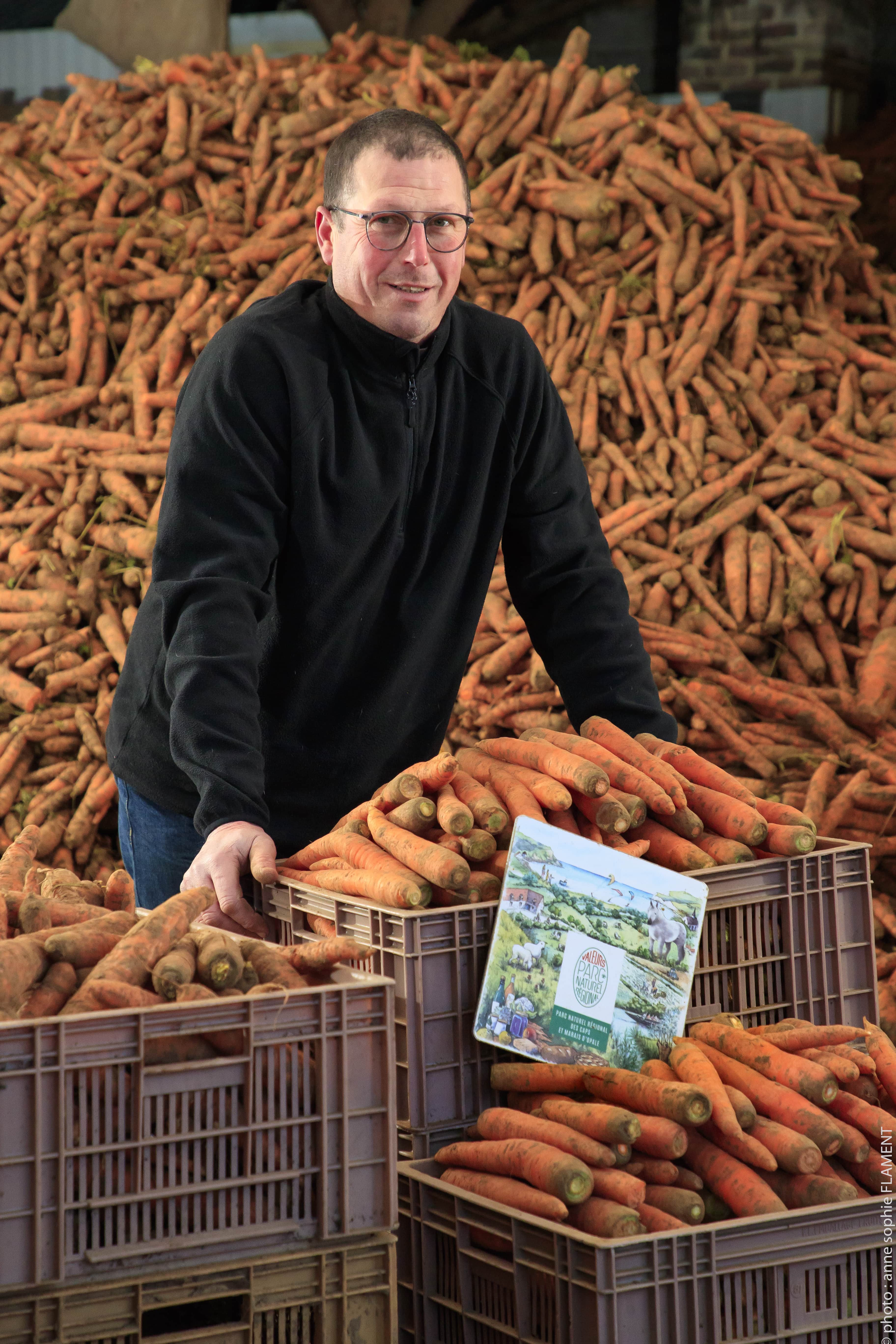 Les Carottes De Tilques De St phane Gheraert F d ration Des Parcs 